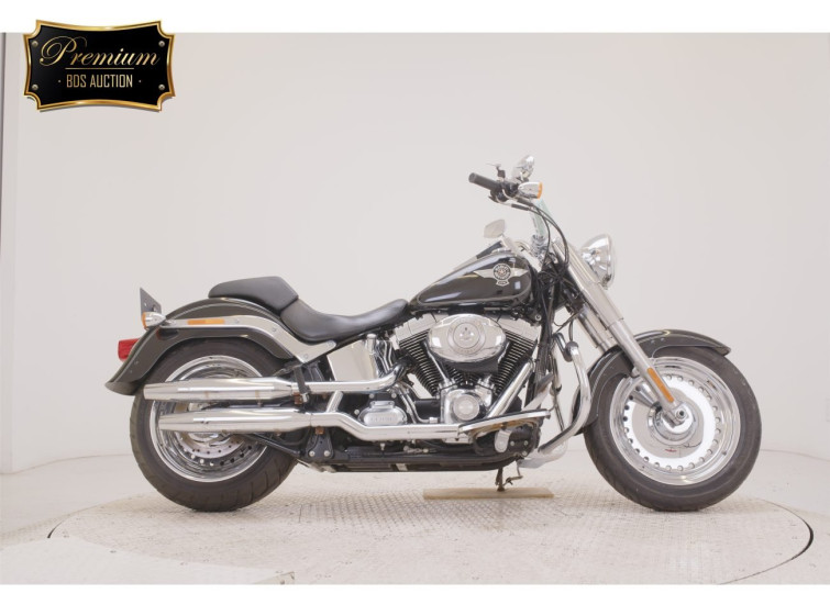Мотоцикл HD FATBOY FLSTF1580 з пробігом 8825 km