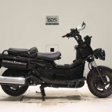 Мотоцикл Honda PS250 BIG RUCKUS с пробегом 16464 km