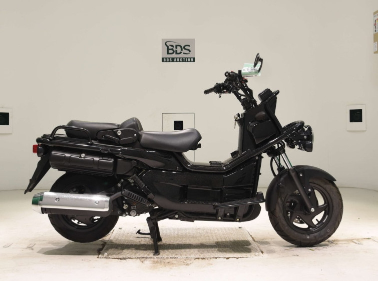 Мотоцикл Honda PS250 BIG RUCKUS с пробегом 16464 km