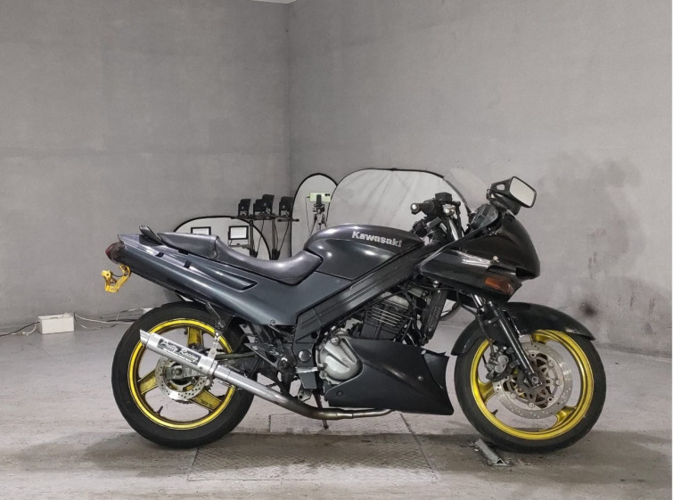 Мотоцикл Kawasaki ZZ-R250 с пробегом 48018 km