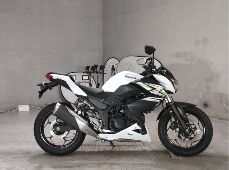 Мотоцикл Kawasaki Z250 с пробегом 13621 km