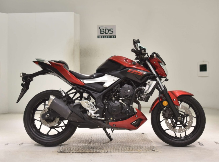 Мотоцикл Yamaha MT-25 з пробігом 35450 km
