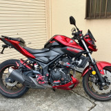 Мотоцикл Yamaha MT-25 з пробігом 30439 km