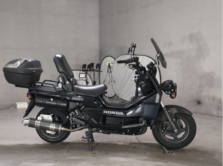 Мотоцикл Honda PS250 BIG RUCKUS с пробегом 24450 km