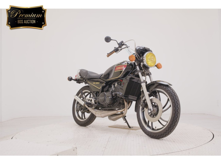 Мотоцикл Yamaha RZ250 з пробігом 21371 km з пробігом 21371 km