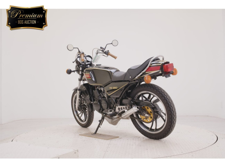 Мотоцикл Yamaha RZ250 з пробігом 21371 km з пробігом 21371 km