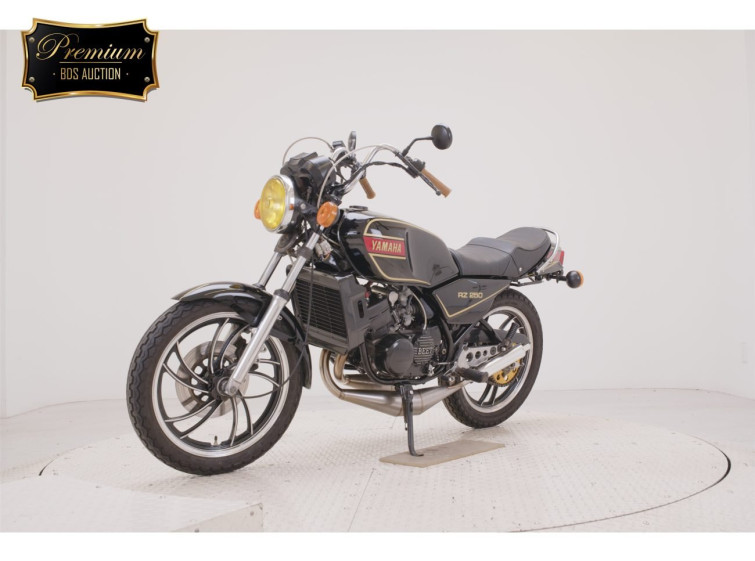 Мотоцикл Yamaha RZ250 з пробігом 21371 km з пробігом 21371 km