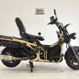 Мотоцикл Honda PS250 BIG RUCKUS