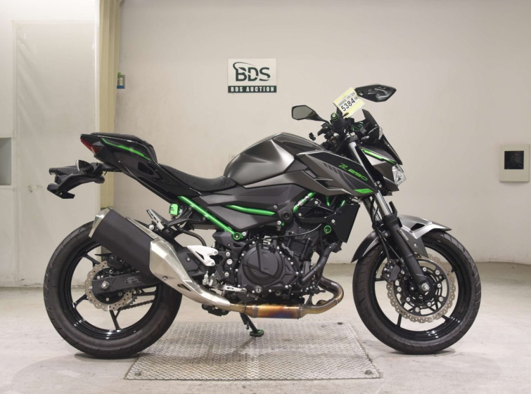 Мотоцикл Kawasaki Z250 с пробегом 2177 km