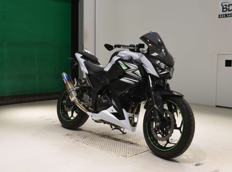 Мотоцикл Kawasaki Z250 с пробегом 10683 km с пробегом 10683 km
