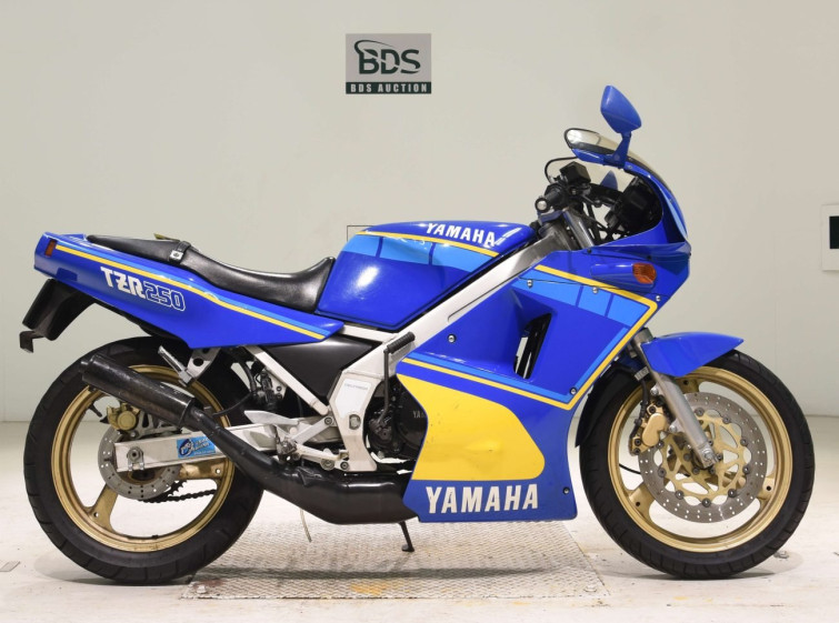 Мотоцикл Yamaha TZR250 з пробігом 12466 km